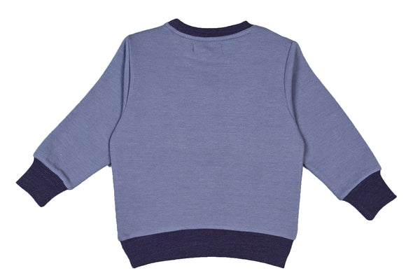 Sweatshirt with a Butterfly print